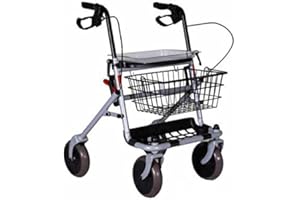 TERMIGEA Deambulatore, Rollator Pieghevole Per Anziani, Disabili E Malati, Sedile In Plastica Con Vassoio, Cestino Portaoggetti E Porta Bastone