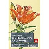 Der illustrierte BLV Pflanzenführer für unterwegs: 1150 Blumen, Gräser, Bäume und Sträucher