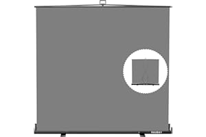 【Breiterer Stil】 RAUBAY 200x210cm Großer zusammenklappbarer Grau Hintergrund Gray Screen, tragbarer ausziehbarer Panel Fotohintergrund mit Ständer für Videokonferenzen, Fotostudio.