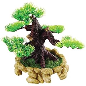 repstyle Bonsai mit Rock Feeder,