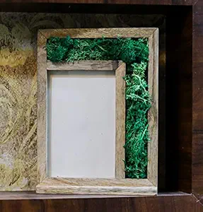 Innovera Design Living Presrved Moss Photo Frame for Table D