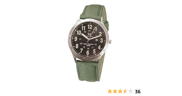 alpine army watch