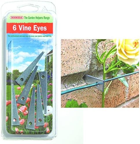 Vine Eyes [6]