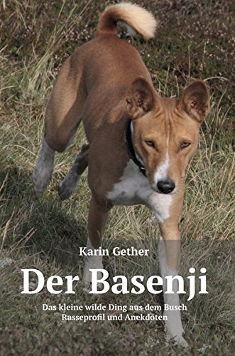Der Basenji: Das kleine wilde Ding aus dem Busch