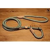 Hundeleine (Retrieverleine) aus Nylon und Leder in neuem Design und vier aktuellen Farben für jeden Hund und Hundeführer (Grün/Beige)