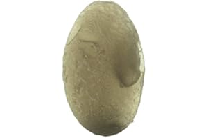 Starborn Authentic Saffordite Transparent Cintamani (10-15 Ct) Arizona Gemstone-small