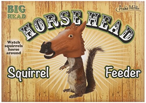 Top 5 Best Squirrel Feeders Comparison Reviews Buyers Guide