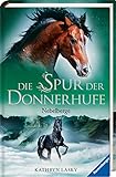 Die Spur der Donnerhufe, Band 3: Nebelberge by