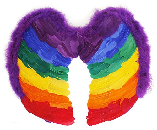 Rainbow Pride Wings Pack of 1 - Rainbow Feather Angel Wings with Straps - Mens Womens Pride Fancy Dress Accessory for LGBTQ+ Pride and Carnivals