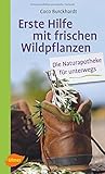 Image de Erste Hilfe mit frischen Wildpflanzen: Die Naturapotheke für unterwegs