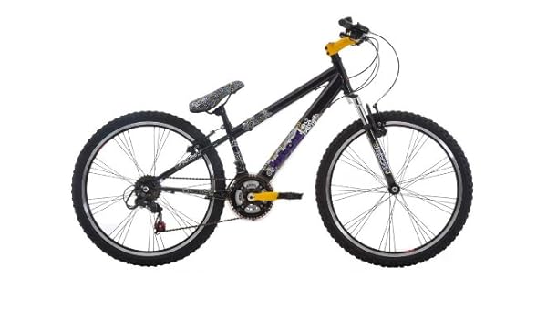 raleigh attitude mountain bike