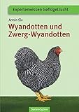 zwerg wyandotten  Wyandotten und Zwerg-Wyandotten (Expertenwissen Geflügelzucht)