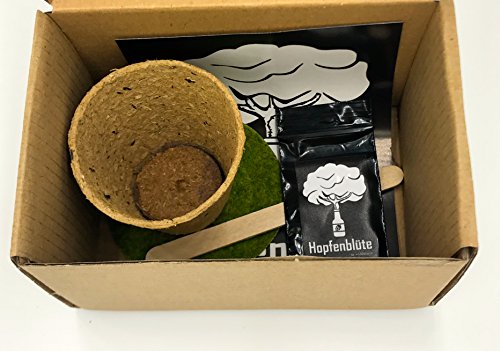 HOPFENBLÜTE Männergeschenk – Woodora Hopfen Samen Anzuchtset – Geschenk für Bierliebhaber – witziges Geburtstagsgeschenk - 5