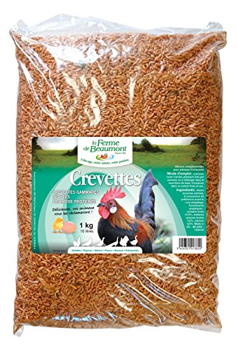 Ferme Volaille Achat Vente De Ferme Pas Cher