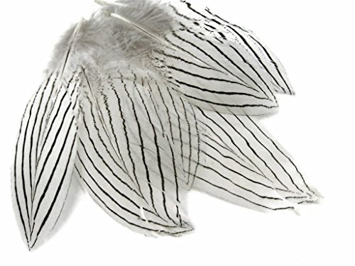 ERGEOB Natürliche Silberhühnerfedern Corsage Feather 5-8cm - 2