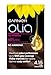 Garnier Olia 4.15 Iced Chocolate Brown Permanent Hair Dye