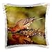 Produktbild House F"bird, Hill Country Nussbaumer-Pillow Case, 16 by 16"