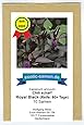 Royal Black, scharfes, schwarzes Chili - 10 Samen