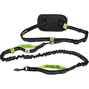 Correa manos libres para perros pequeños de hasta 15 kg | Hundefreund Correa elástica reflectante y extensible de 110 a 160 cm