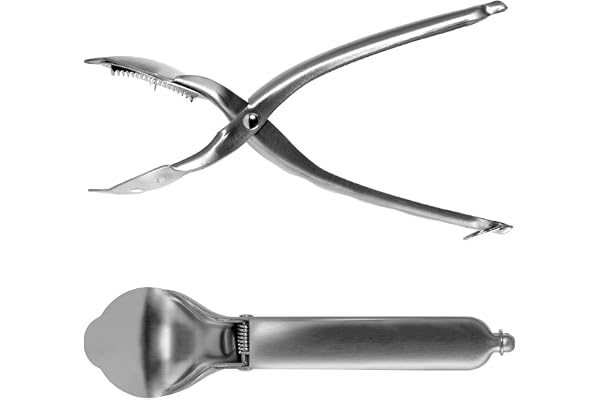 Westmark Coupe-Châtaignes, avec Lames dentelées, Longueur : 20 cm, Acier inoxydable, Argenté, 40422260