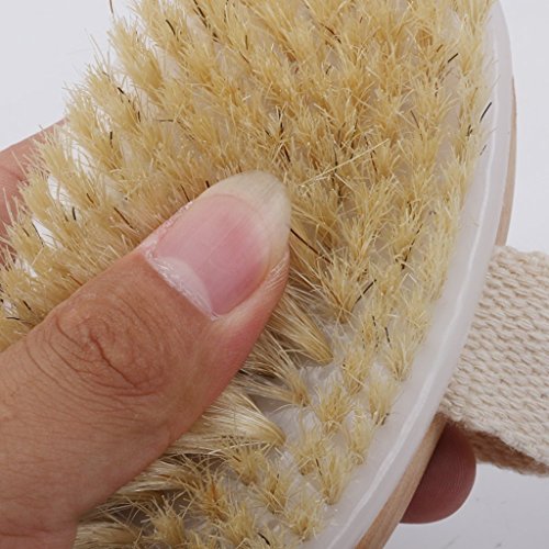 LOOKOUT SPA Bad Dusche Körper Wäscher Borsten Pinsel mit Palm Riemen - 5