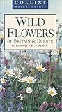 Wild Flowers of Britain and Europe Wild Flowers of Britain and Europe
