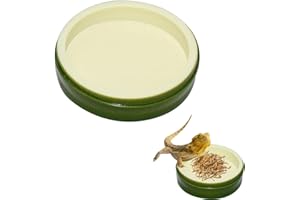 DULSPUE Ciotola per Acqua per Cibo Rettile, 2 Pezzi rettili Tartarughe Cibo Ciotola Piatta per Tartarughe, lucertole, gechi, criceti e Altri Piccoli rettili(9,2 x 2,2 cm)
