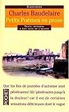 Petits poèmes en prose