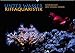 Produktbild UNTER WASSER Riffaquaristik (Wandkalender 2019 DIN A2 quer): Faszinierende bunte Unterwasserwelt (Monatskalender, 14 Seiten ) (CALVENDO Tiere)
