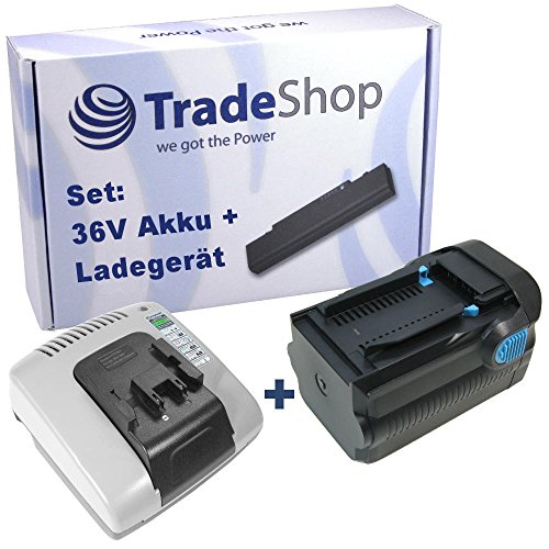 2in1 Angebot im Set: Akku Schnellladegerät mit 2x USB Anschluss + Hochleistungs Li-Ion 36V 4000mAh Akku für Hilti B36 B36V TE6A TE7A