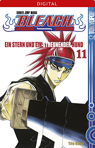 Download Bleach 11