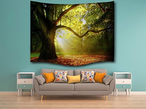A.Monamour Sonnenschein Durch Verwunschene Großen Baum Blätter Wald Weg Der Naturlandschaft Bild Gefallen Wandteppich Vorhänge Für Kinder Schlafzimmer Hängen Wanddekor Wohnaccessoires Deko - 2