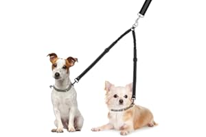 SlowTon Double Laisse pour Chiens - Sans Enchevêtrement, Pivot 360°, Réfléchissante, Réglable, Séparateur de Fils pour Deux Chiens en Entraînement
