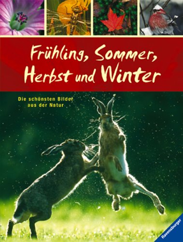 Download Frühling, Sommer, Herbst und Winter: Die schönsten Bilder aus der Natur Download Frühling, Sommer, Herbst und Winter: Die schönsten Bilder aus der Natur