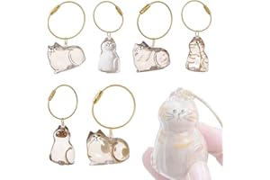 JUGUTA Lot De 6 Porte-Clés Pour Poils De Chat, En Acrylique Transparent, Pour Ramasser Les Poils D'Animaux De Compagnie