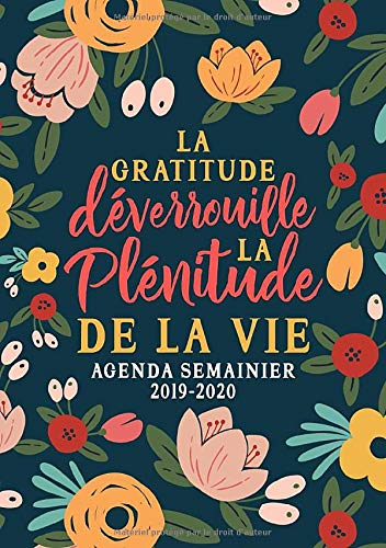 Télécharger La gratitude déverrouille la plénitude de la vie : agenda semainier 2019-2020: Du 1er juillet 2019 livre En ligne