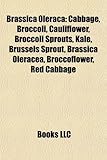 Image de Brassica Oleraca