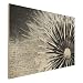 Produktbild Holzbild Pusteblume Schwarz & Weiß - Wandbild Quer 2:3 , Größe HxB:50cm x 75cm