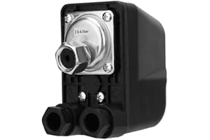 VIKYE Water Pump Pressure Switch, 250V G1/4" Water Pump Control Switch Display Pressure Controller Automatic Suitable for Self-Priming Pumps, Jet Pumps, Garden Pumps, etc