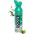 Boost Oxygen Natural Energy in a Can, Menthol, 22 Ounce