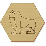 Azeeda 6 x 'Rana' 95mm Hexágono De Madera Posavasos (CR00089792)