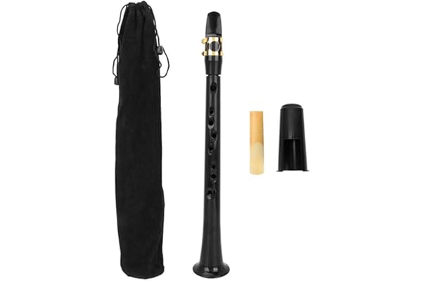 Bnineteenteam Saxophone de Poche Portable Saxophone de Poche Mini avec Sac de Rangement Reed