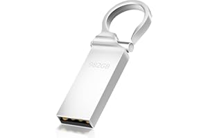 MS LULA USB Stick 982GB, Metall Speicherstick USB-Stick Wasserdicht USB Flash-Laufwerk, Große Kapazität, Mini USB Sticks für Computer, PC, Laptop