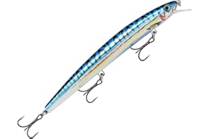Rapala - Leurre de Pêche MaxRap - Matériel de Pêche avec Construction Plastique - Leurre Pêche en Mer Suspending, Profondeur de Nage 0,3-0,9m - Taille 15cm/23g, Fabriqué en Estonie, Live Blue Mackerel
