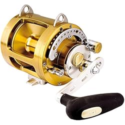 TICA CARRETE TEAM SB50M GOLDEN SERIES 6RRB 50LB DRAG MAX 18 KG