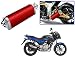 Auto Pearl Premium Quality High Performance Bike Exhaust Muffler Silencer Triangle Red For - Bajaj Pulsar 150 DTS-i RS.2899.00
