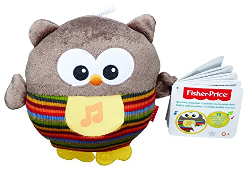 Mattel Fisher-Price CMT32 - Leuchtende Kuschel-Eule mit sanfter Musik, braun