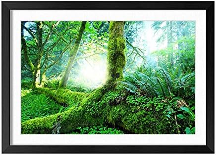 CHENXE (Tropical Forest Trees Moss Green) Black Wood Frame Home Wall Decor Art Print Poster 16x24inch