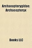 Image de Archaeopterygidae