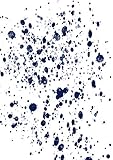  Desconocido LÁMINA Navy 2